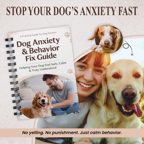 Dog Anxiety Relief System