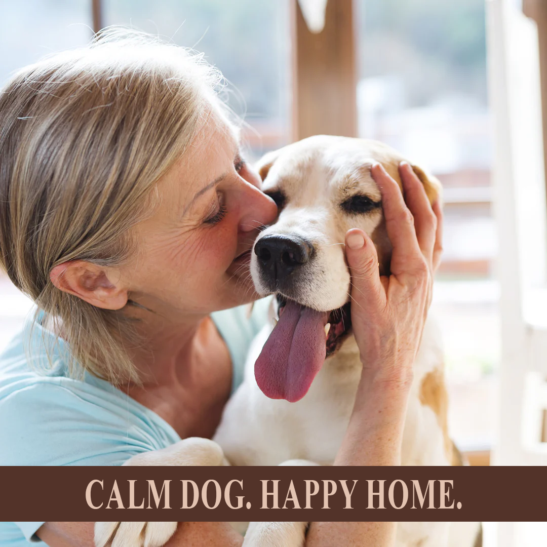 Dog Anxiety Relief System